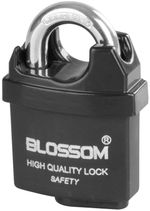 Lock Blossom LS0505, 50 mm, padlock, security