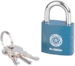 Lock Blossom BC29, 25 mm, padlock, Unique