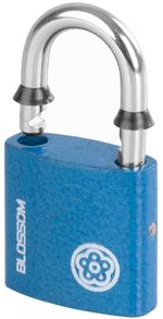 Lock Blossom BC29, 32 mm, padlock, Unique