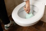 Plunger PFF, for toilet, mix of colors