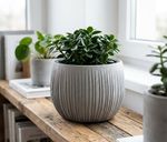 Planter BETON Bowl, 18x14 cm, Grey, concrete look