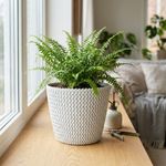 Planter SPLOFY, 295/249 mm, 11.5 L, White