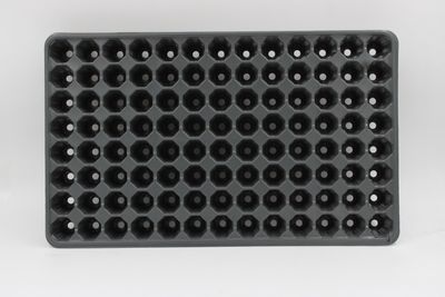 Palántázó Strend Pro, palántákhoz, 3,3x5,5x3,3 cm, 104 palánta, kerek