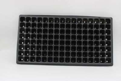 Palántázó Strend Pro, palántákhoz, 3x3x5 cm, 128 palánta, négyzet