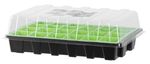 Seeding tray and dome  38x24.5x12.5 cm, 24 holes