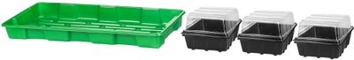 Seeding tray and dome set 57x24,5x13,5cm, 3 holes