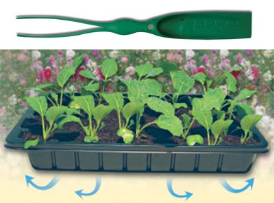 Seeding tray 38,5x25x6,5cm, with shovel and forcep