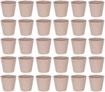 Seedling Tray Strend Pro Herrison P1006, paper, 6 cm, pack of 30 pcs