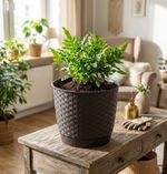 Planter RATOLLA Round 190, Dark brown, with saucer