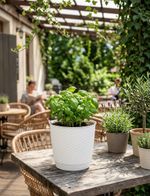 Planter RATOLLA Round 250, White, with saucer