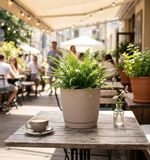 Planter RATOLLA Round 250, Mocha, with saucer