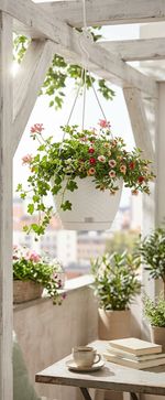 Planter RATOLLA Round W 240, hanging, White, with saucer, with hanger