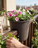 Planter RATOLLA Railing Oval 300, Brown, for railing