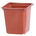 Planter Strend Pro, for seedlings, square, 8x8x8 cm