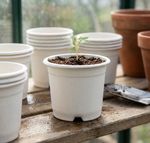 Planter Strend Pro, for seedlings, round, 10.5x8.5 cm