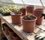 Planter Strend Pro, for seedlings, round, 13x10.5 cm