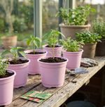 Planter Strend Pro, for seedlings, round, 15x13 cm