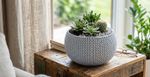Planter SPLOFY Bowl, 290x195 mm, Ice grey