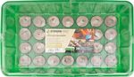 Mini Greenhouse Strend Pro Herrison MG-029, with 28 coconut pellets, 36x22x7 cm