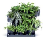 Flowerpot CASCADE Garden 685x190x546 mm, vertical, cascade, anthracite