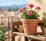 Planter DECORA, 300x235 mm, Terracotta