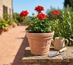 Planter DECORA, 390x310 mm, Terracotta