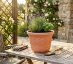 Planter SUNNY, 300x225 mm, Terracotta