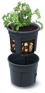Planter POTATO Grower, 392x316 mm, for potato growing, Anthracite