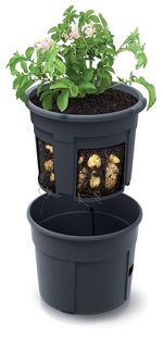 Virágcserép POTATO Grower, 392x316 mm, burgonyatermesztéshez, antracit