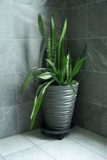 Plant pot stand Strend Pro, on wheels, movable, 33.5x33.5x8.5 cm