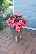 Planter Strend Pro, Coffee powder color, 20x20x26 cm