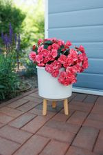 Planter Strend Pro, White Weathered Finish color, 20x20x26 cm