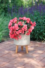 Planter Strend Pro, Bamboo fiber color, 24.5x24.5x31 cm