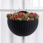 Planter Strend Pro, with two hooks, Black color, 26x14x20 cm