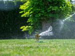 Sprinkler Strend Pro, impulse, with spike, brass