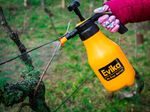 Sprayer Evika AG10, 1.0 L, hand-held