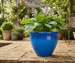 Planter Strend Pro, glazed, Blue, 38x28.5 cm
