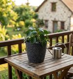 Planter Strend Pro Stone, 23x20.5 cm, Black, stone effect