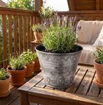 Planter Strend Pro Flower, 24.5x19.3 cm, Silver, metallic effect