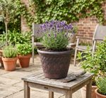 Planter Strend Pro, 29x23 cm, Dark brown, rattan pattern