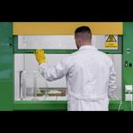 Gloves STARLING 08/M, household, latex