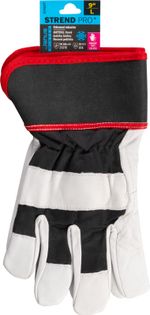 Gloves Strend Pro Janus Winter, winter, protective, insulated, textile/leather, size 09/L, blister
