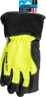 Gloves Strend Pro Gratus Winter, winter, protective, insulated, waterproof, 3M insulation, size 09/L