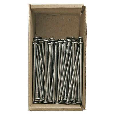 Nails 2825, 100x4.0 mm, construction, MiniPack 1 kg