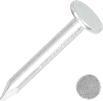 Nails 2825 25x3.10 mm, cardboard, galvanized, pack. 5 kg