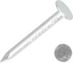 Nails 2825 30x3.10 mm, cardboard, galvanized, pack. 5 kg