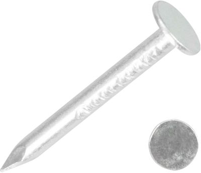 Nails 2825 30x3.10 mm, cardboard, galvanized, pack. 5 kg