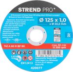 Disc Strend Pro, 125x1.0x22.2 mm, cutting, for metal, tin, 10 pcs