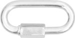 Carabiner Strend Pro, with nut, 6 mm, pack of 10 pcs