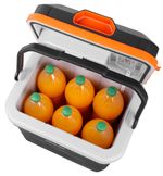 Car Cooler Strend Pro, 2in1, 24 lit, 230V/12V, PUR insulation